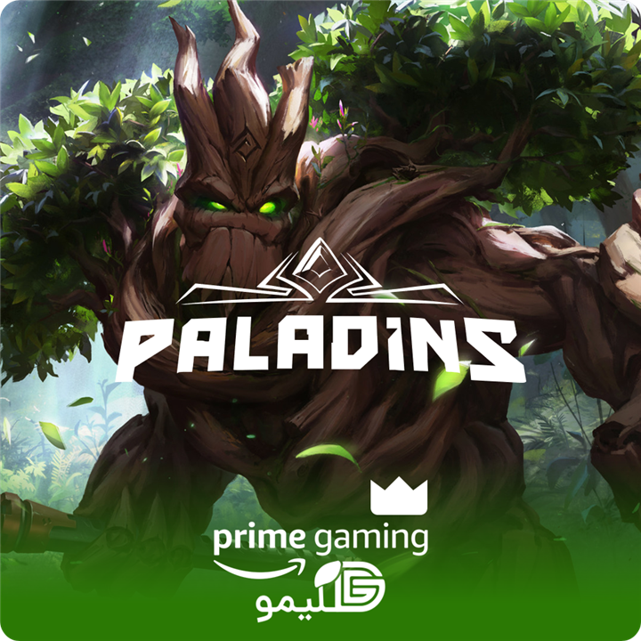 پرایم بازی Paladins